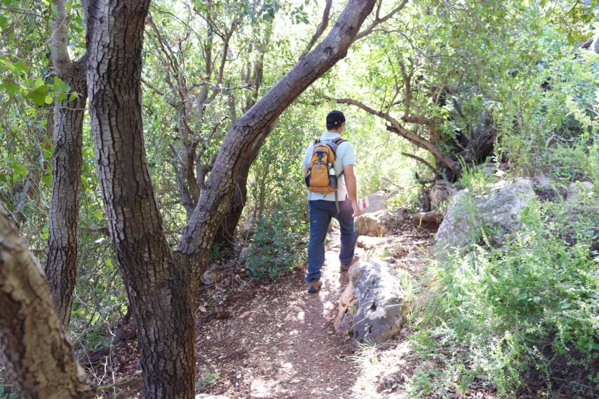 Nahal Sfunim: Bat Caves and Wild Beauty