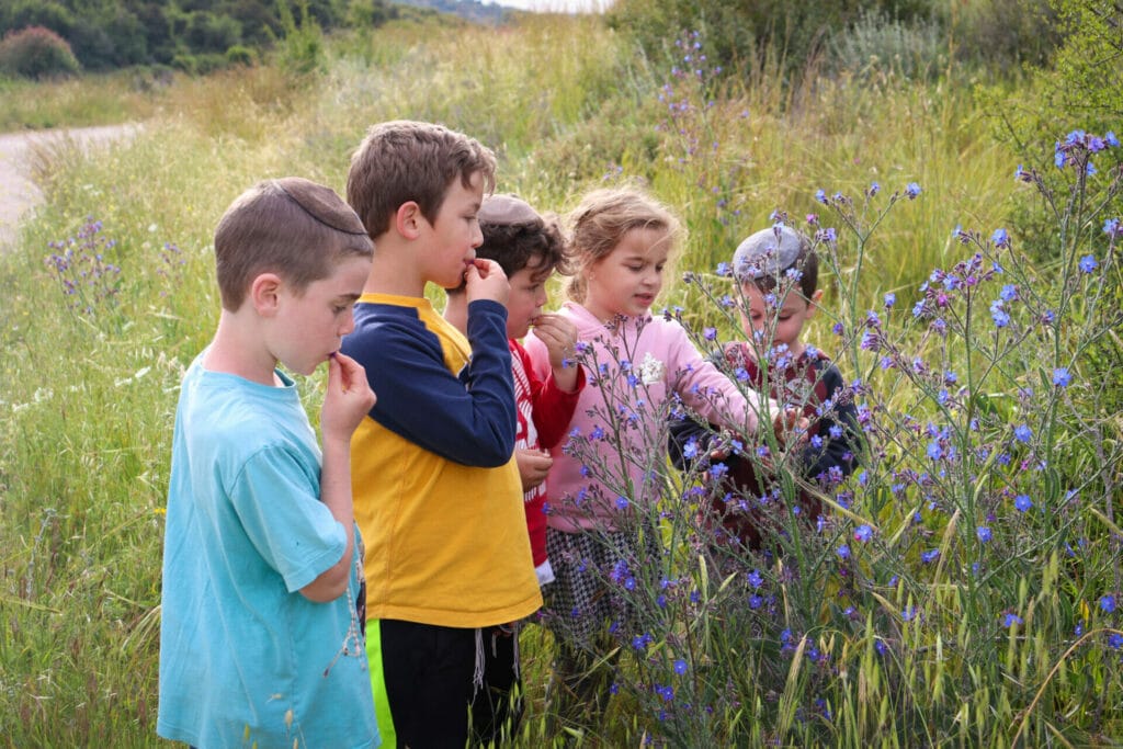 Burgin Itri Ruins Hike Park Adulam