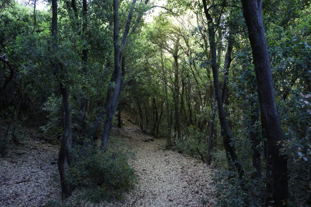 Nahal NEria and Nahal Moran hike