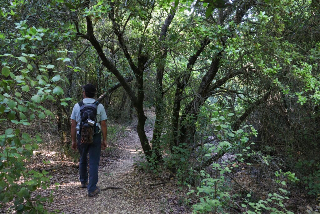 Nahal NEria and Nahal Moran hike