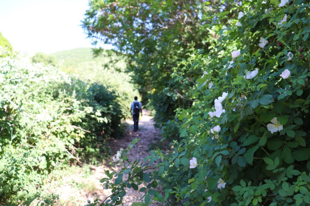 Nahal NEria and Nahal Moran hike