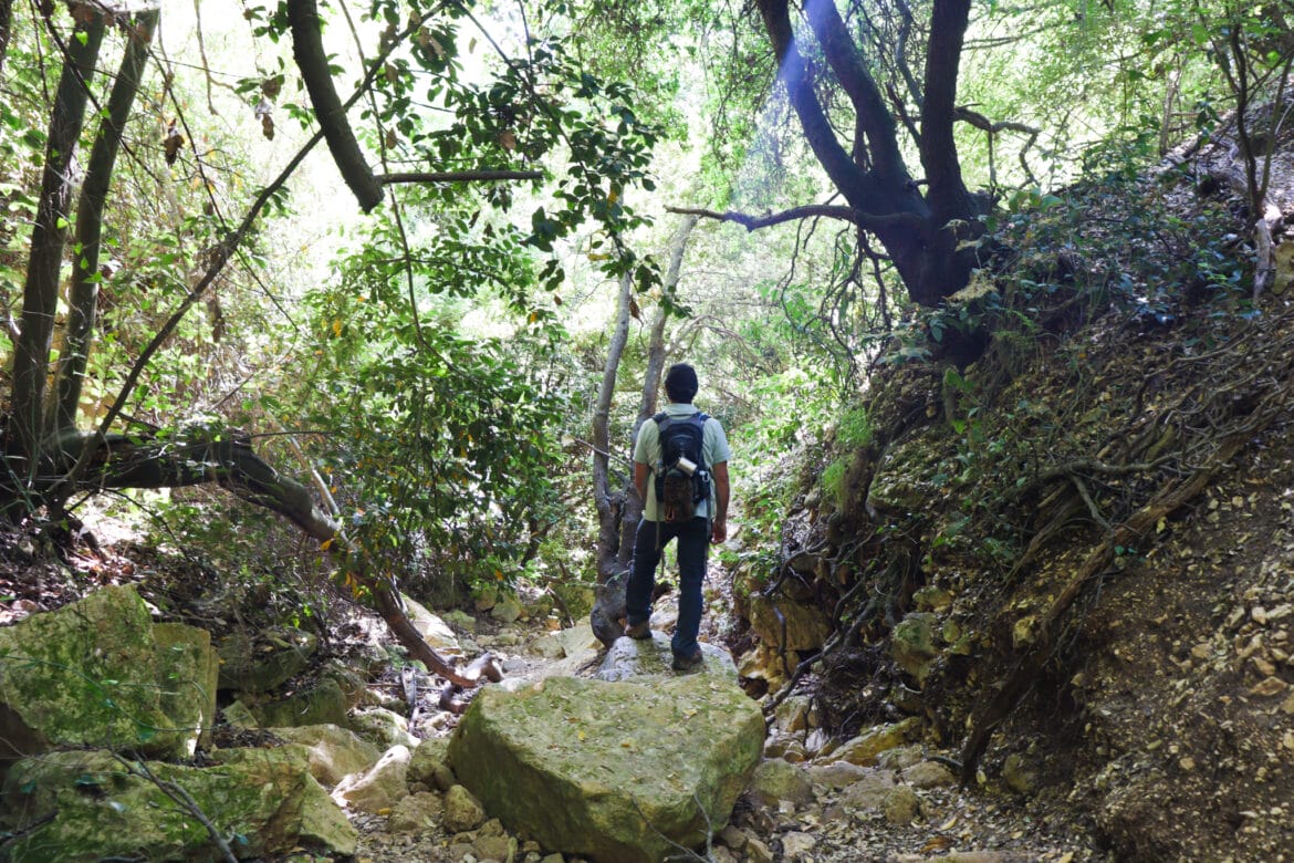 Galilee Beauty: Nahal Neria and Nahal Moran