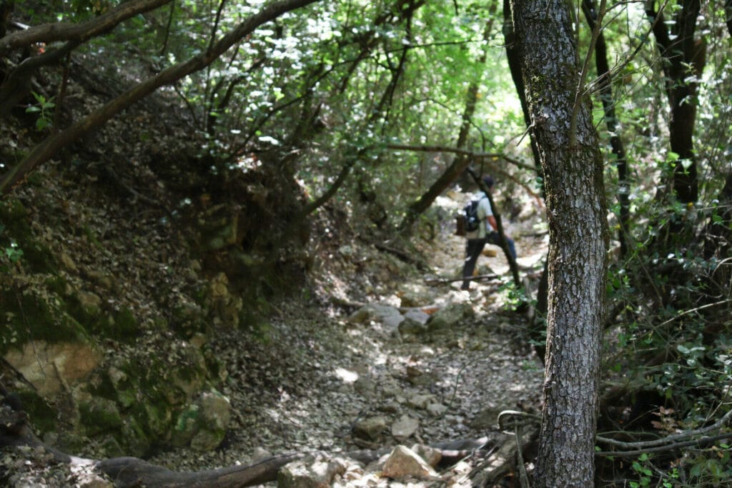 Nahal NEria and Nahal Moran hike