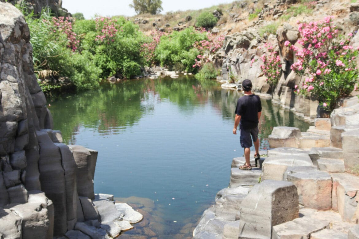 Upper Zavitan Stream in the Golan Heights