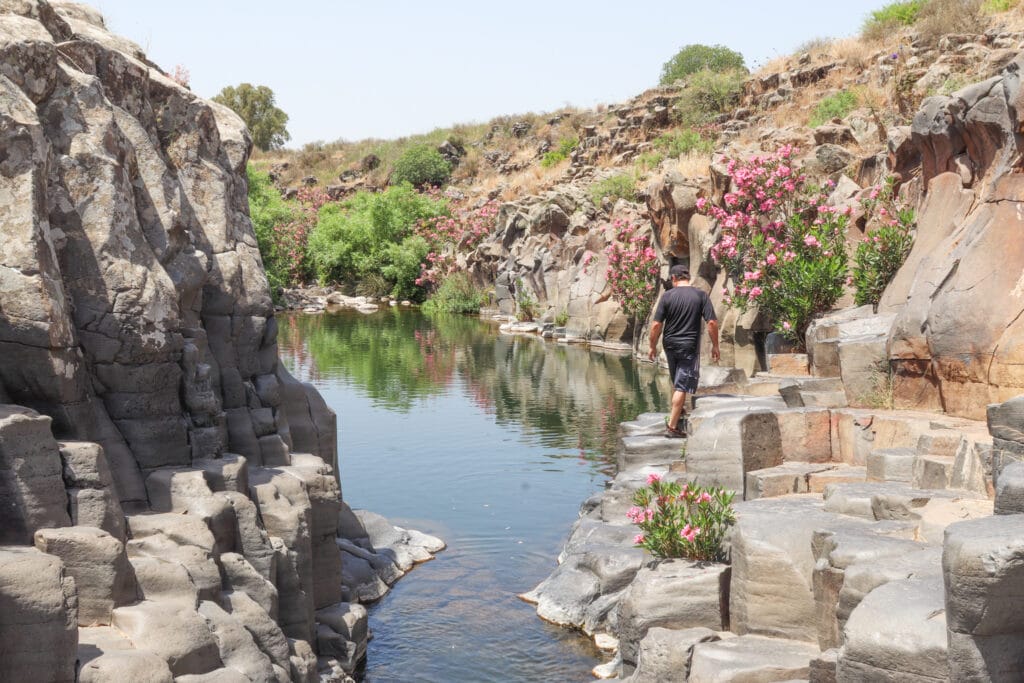 Upper Zavitan stream hike