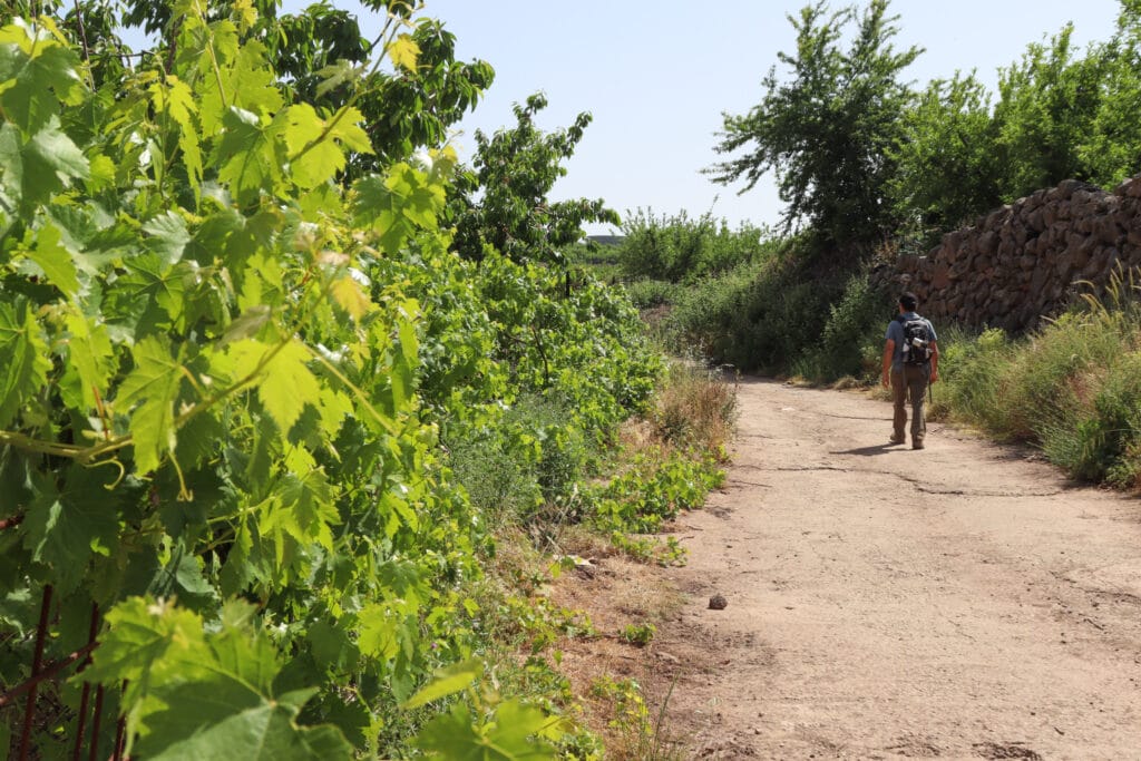 Mount Hermon hike