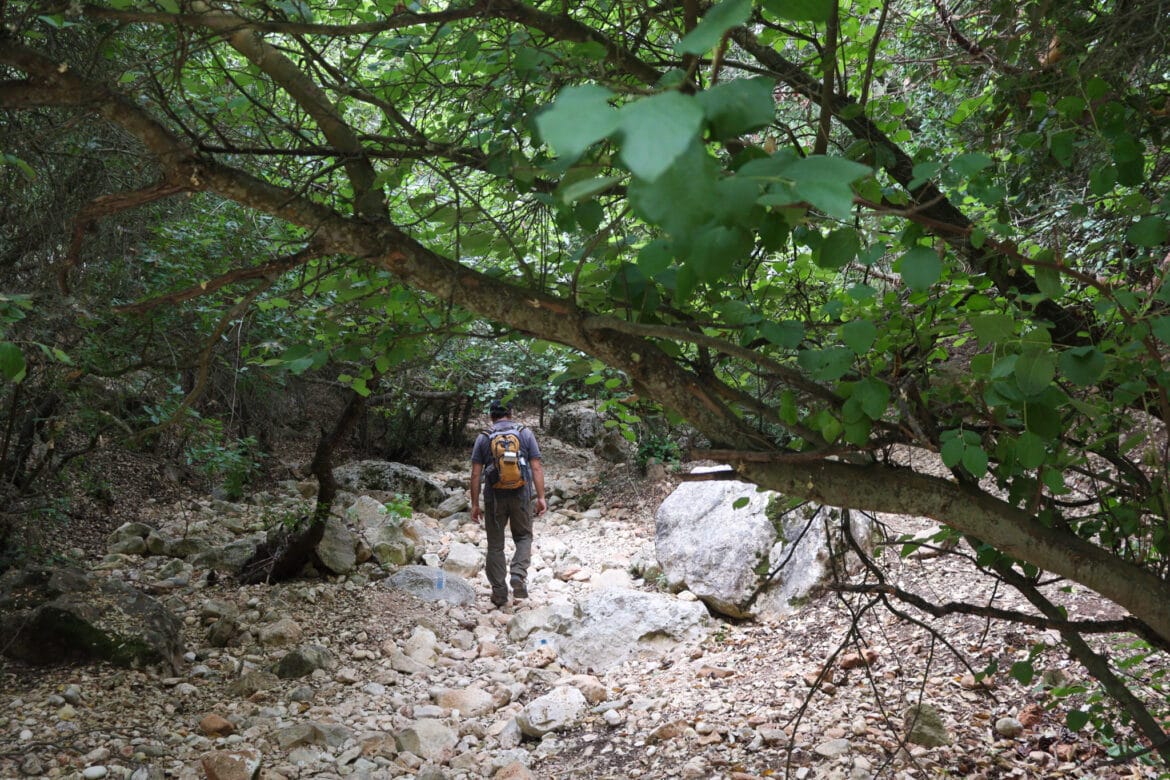 Carmel Spring Trail: Nahal Neder to Ein Kedem