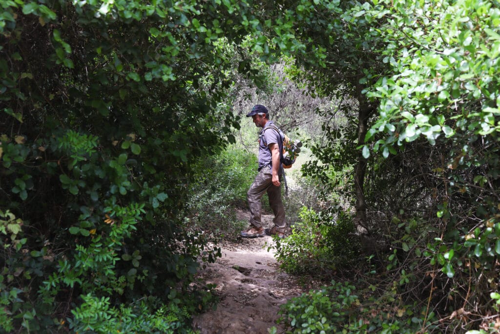 Nahal Neder and Ein Kedem hike.