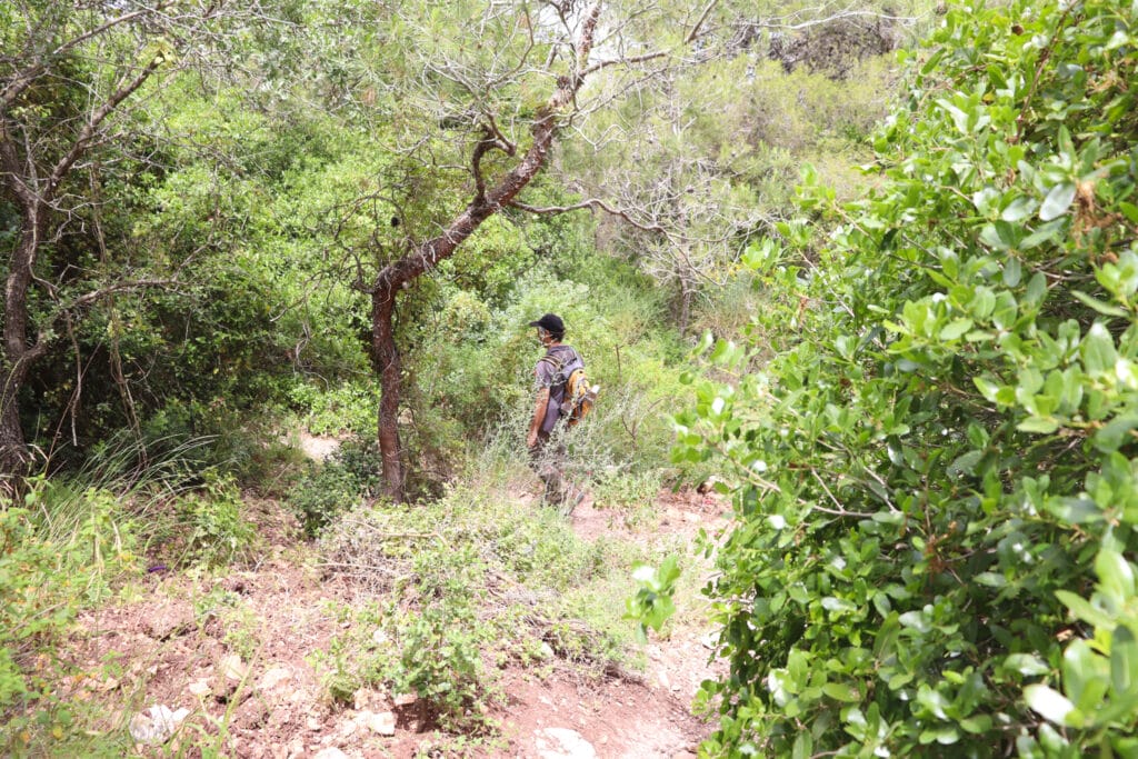 Nahal Neder and Ein Kedem hike.