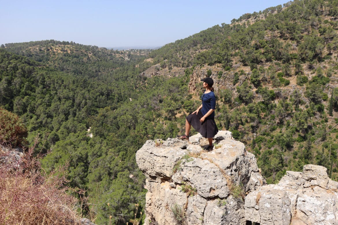 Woodland and Springs Adventure near Jerusalem: Einot Boker Loop