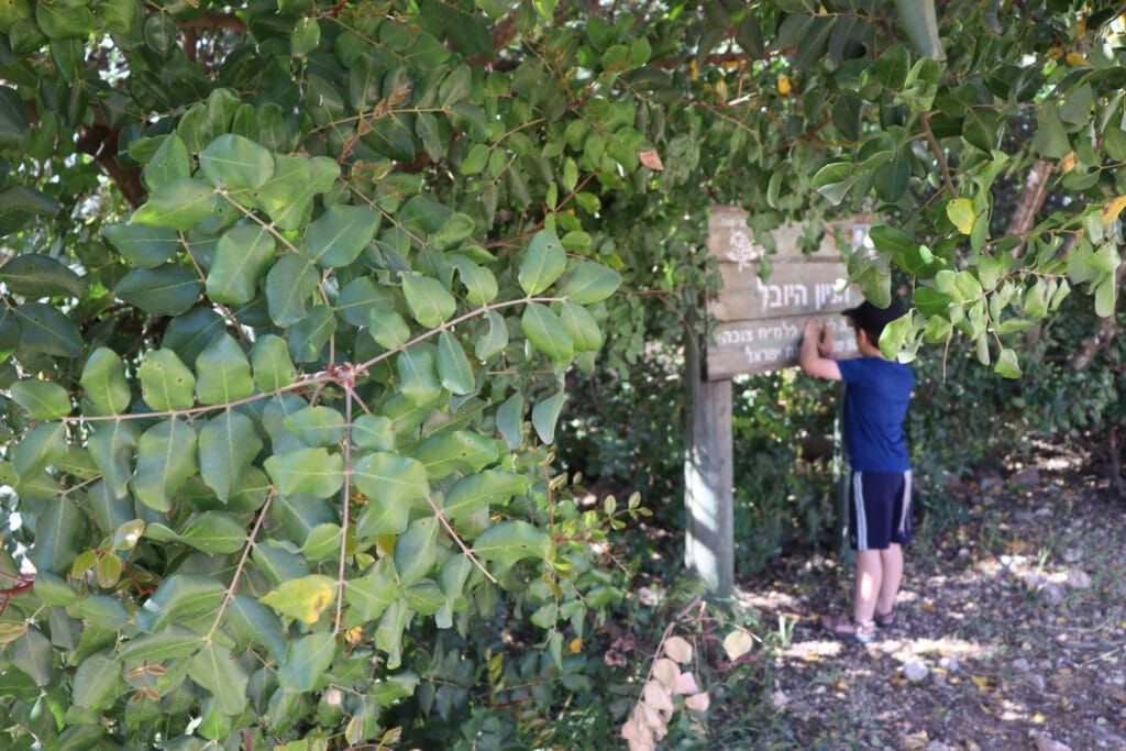 Tel Tzova Ein Tzova Hike