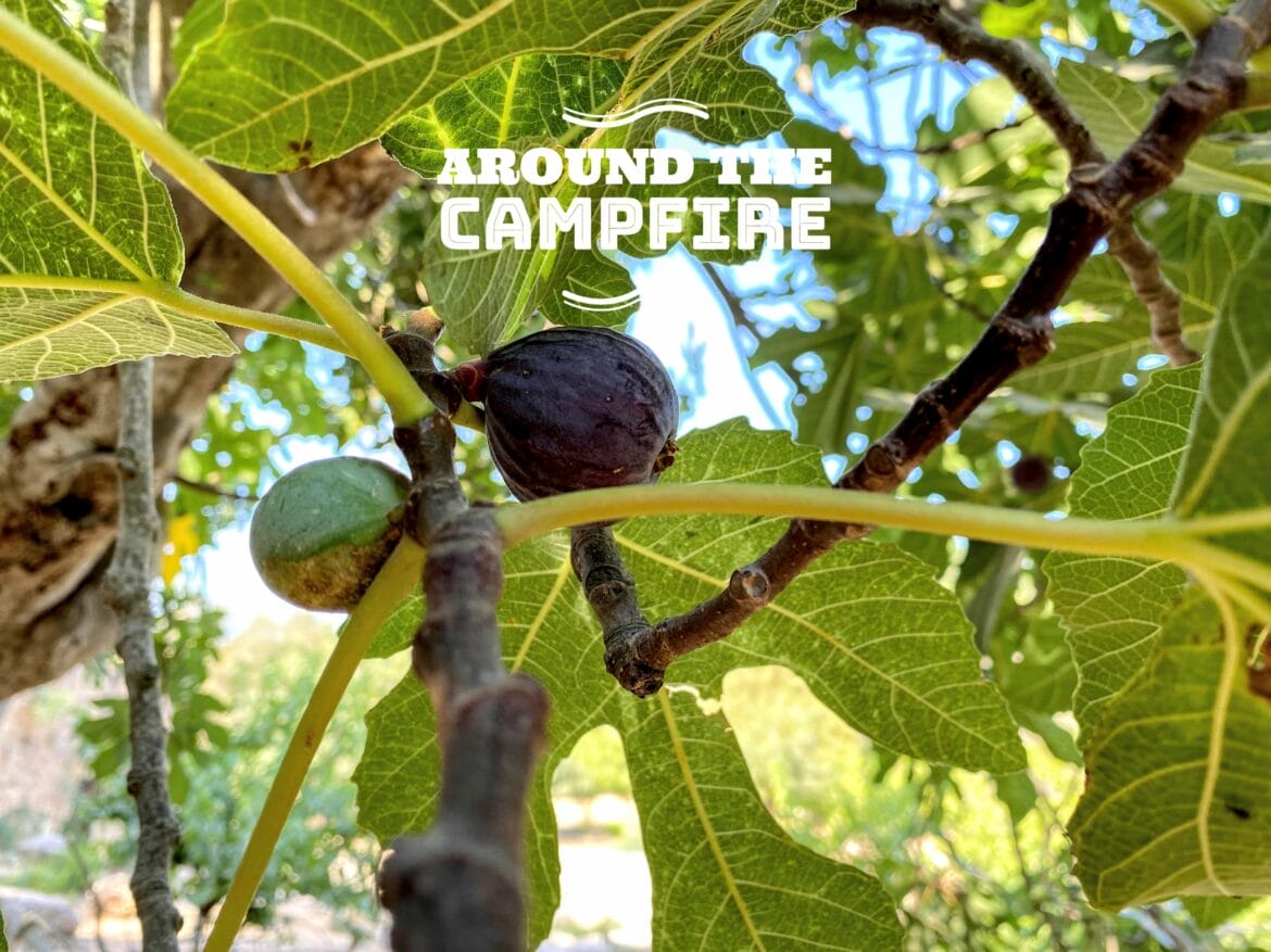 Eat Your Way Through Nature