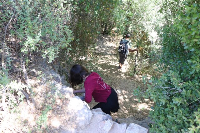 Ein Sapir hike