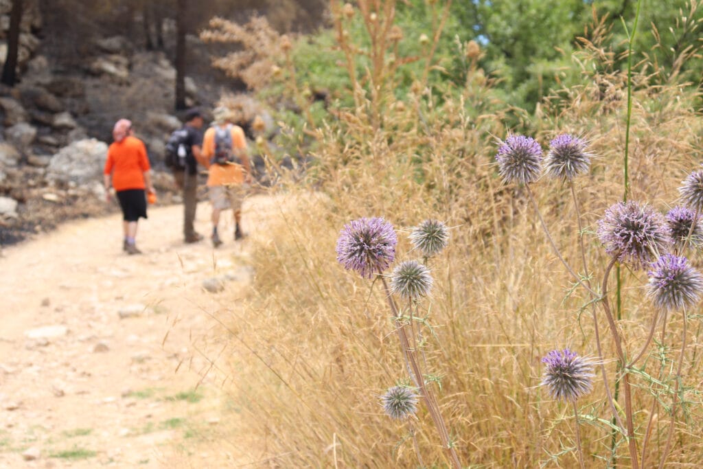 JumJum hike