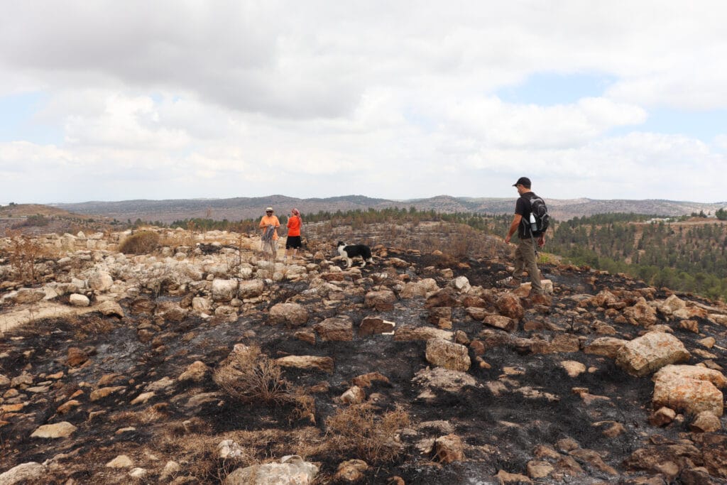 JumJum hike