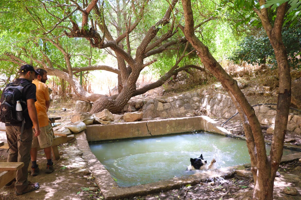 JumJum Ruins and Bat Ayin Springs