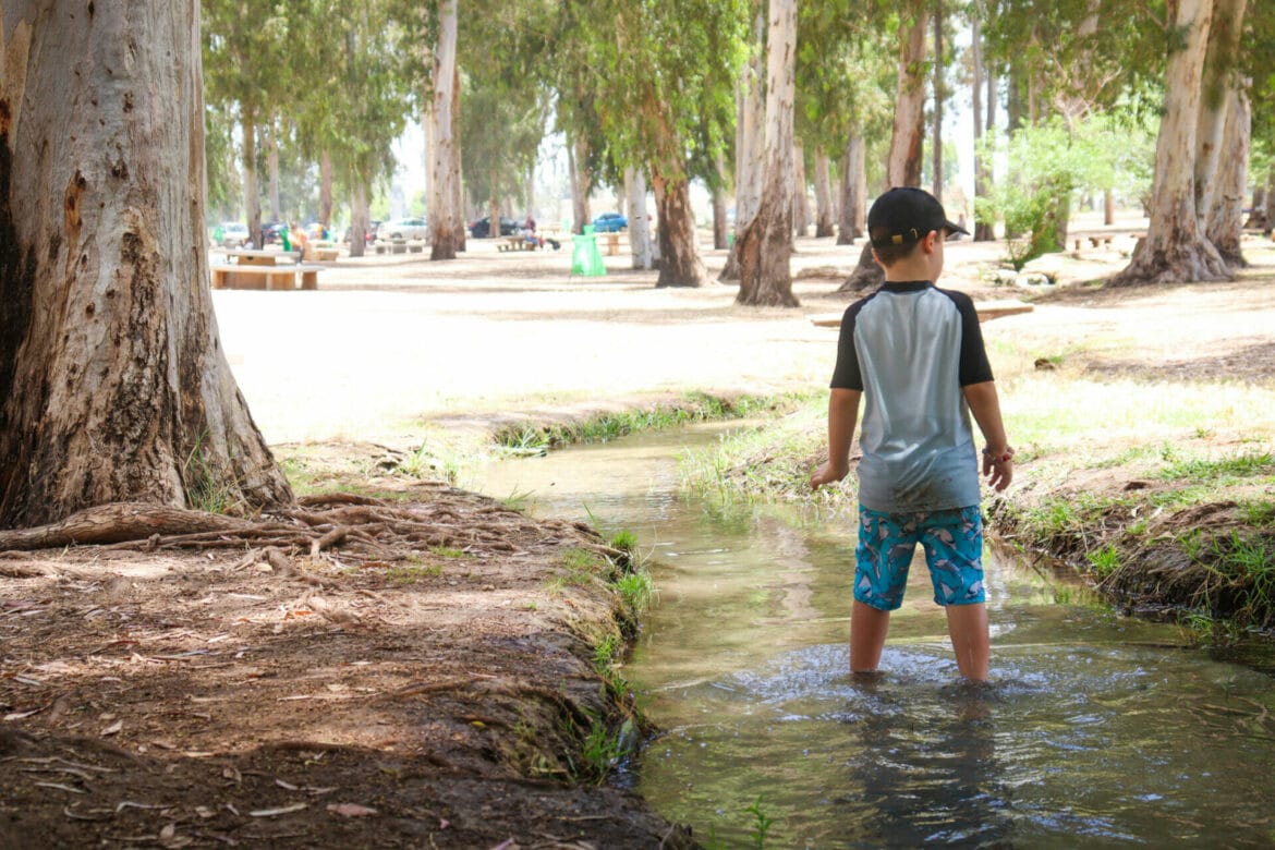 Family Fun at Tel Afek