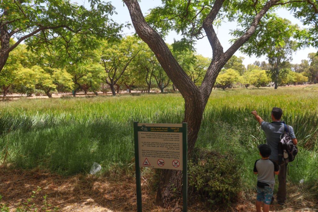 Tel Afek hike