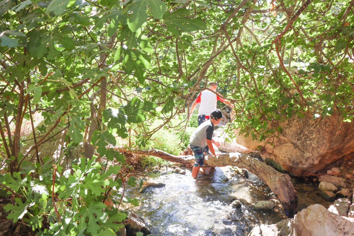 10 Terrific Trails for Families on Sukkot