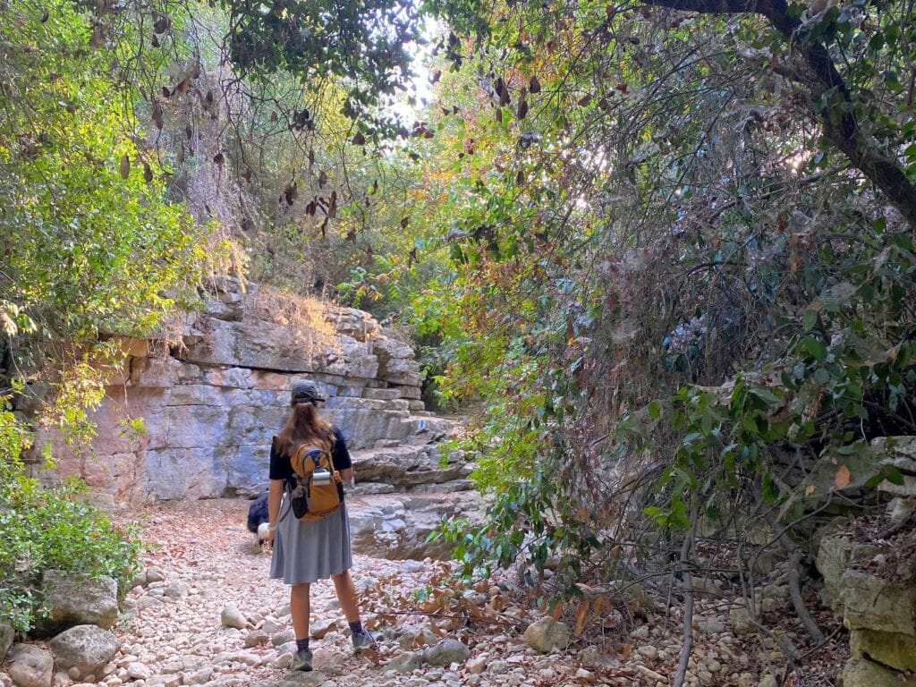 Nahal Bustan Ein Hod hike Carmel