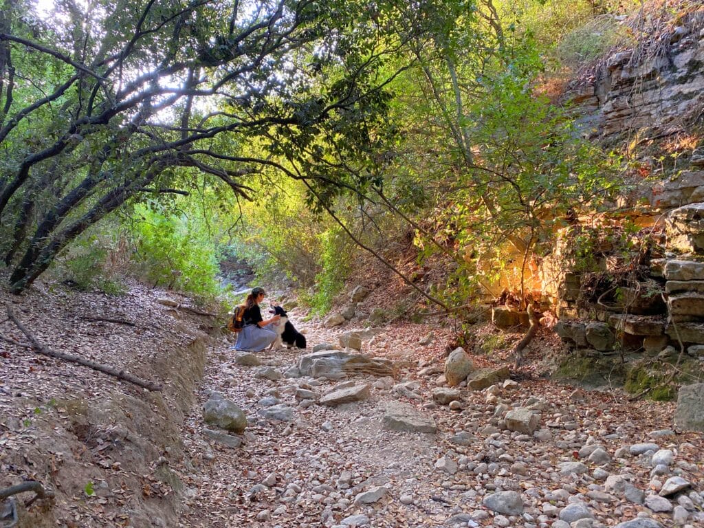 Nahal Bustan Ein Hod hike Carmel