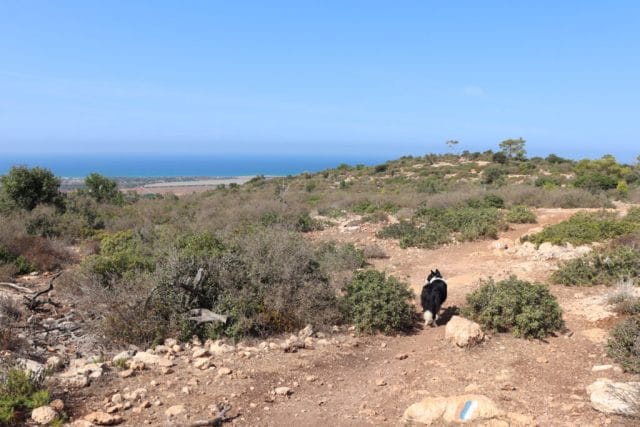 Nahal Bustan Ein Hod hike Carmel