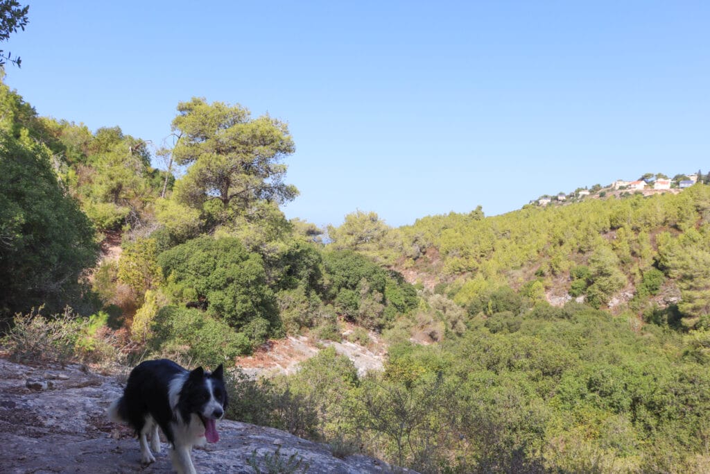 Nahal Bustan Ein Hod hike Carmel