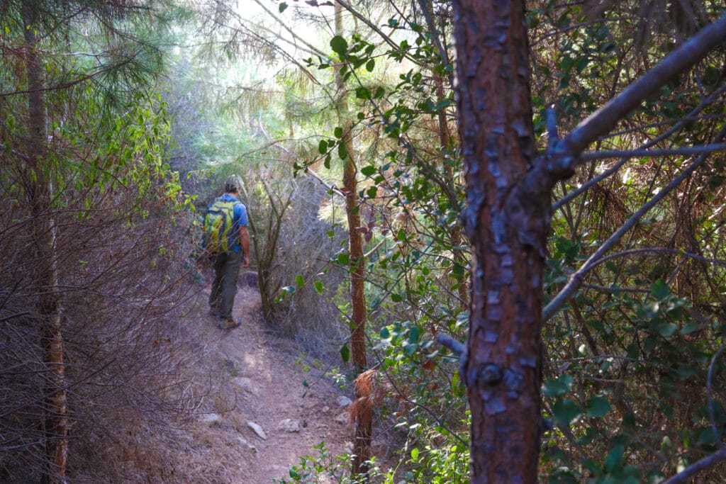 Nahal Bustan Ein Hod hike Carmel