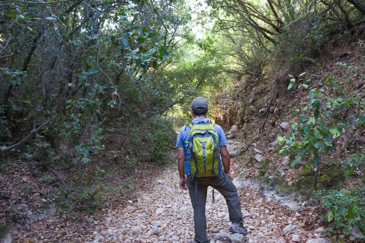 Carmel Adventure: Nahal Bustan to Ein Hod