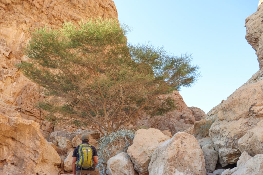 Nahal Rom hike Israel