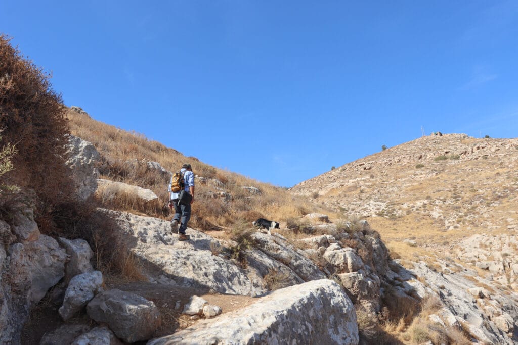 Nahal Tekoa hike