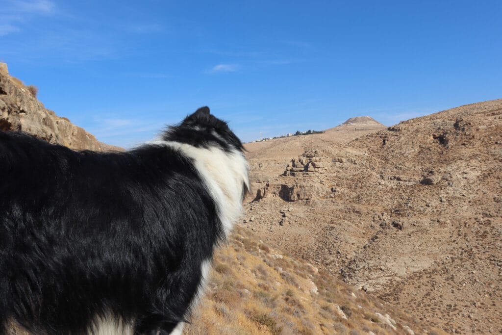 Nahal Tekoa hike