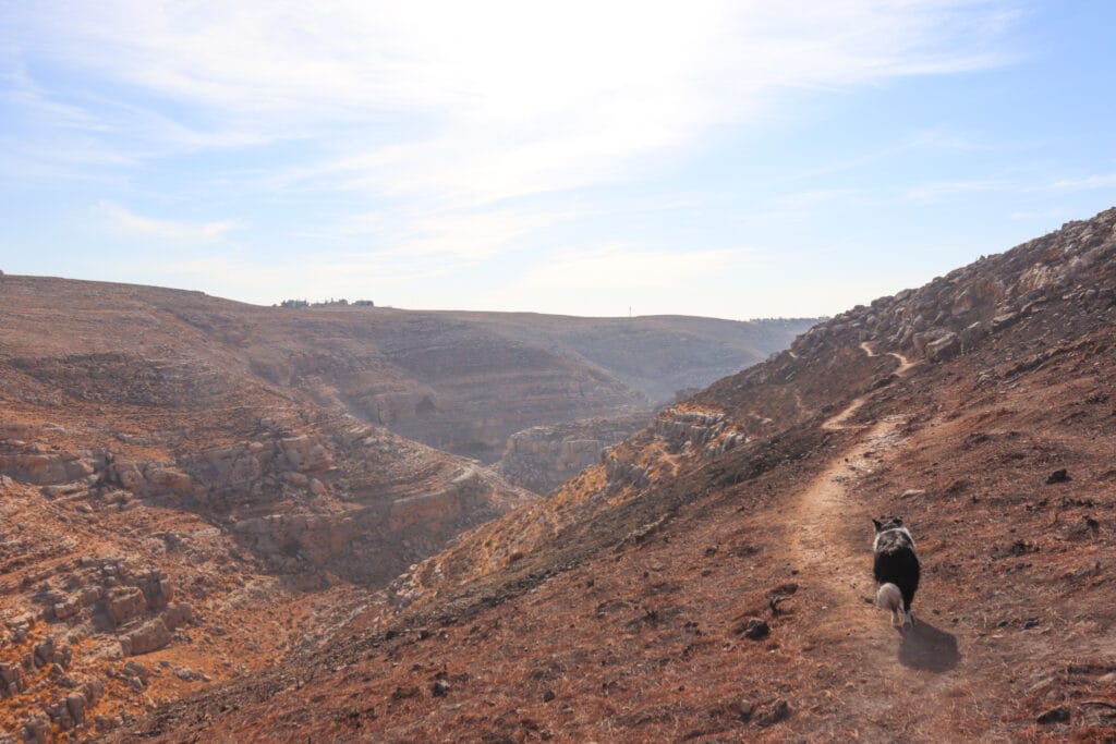 Nahal Tekoa hike