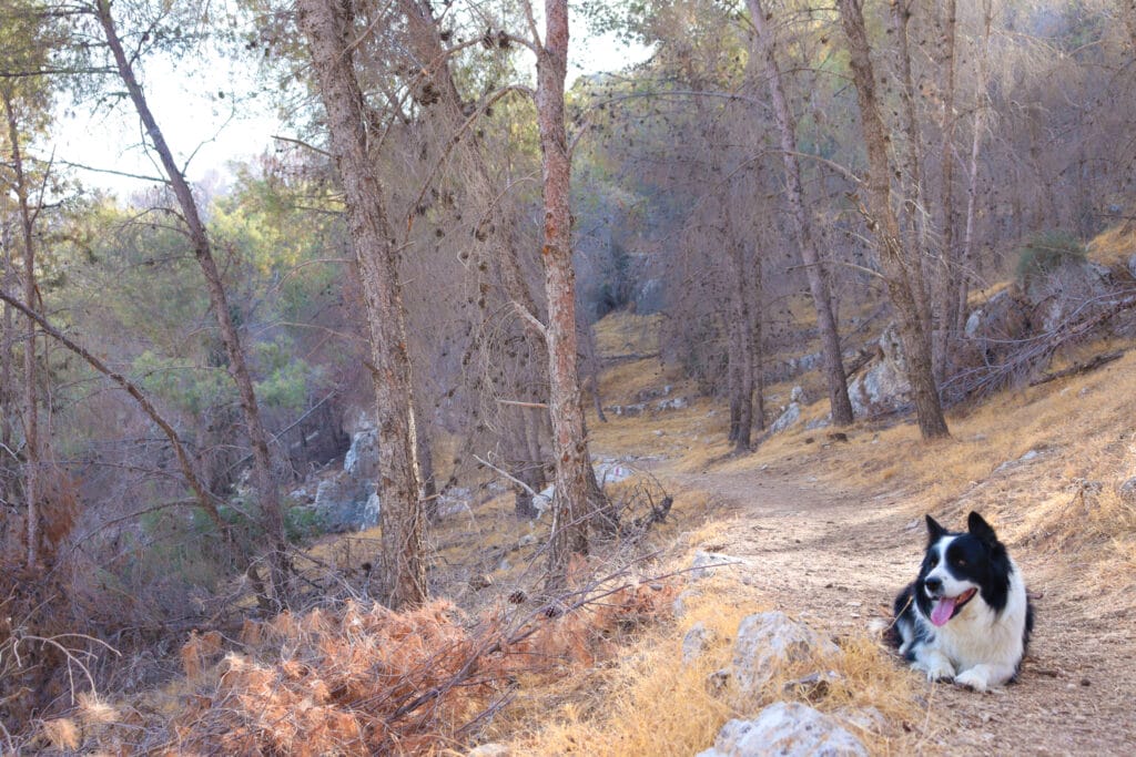 Nahal Tekoa hike