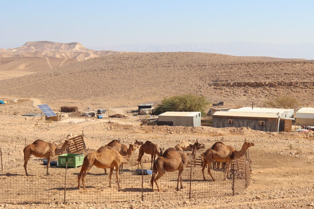 Upper Nahal Rahaf