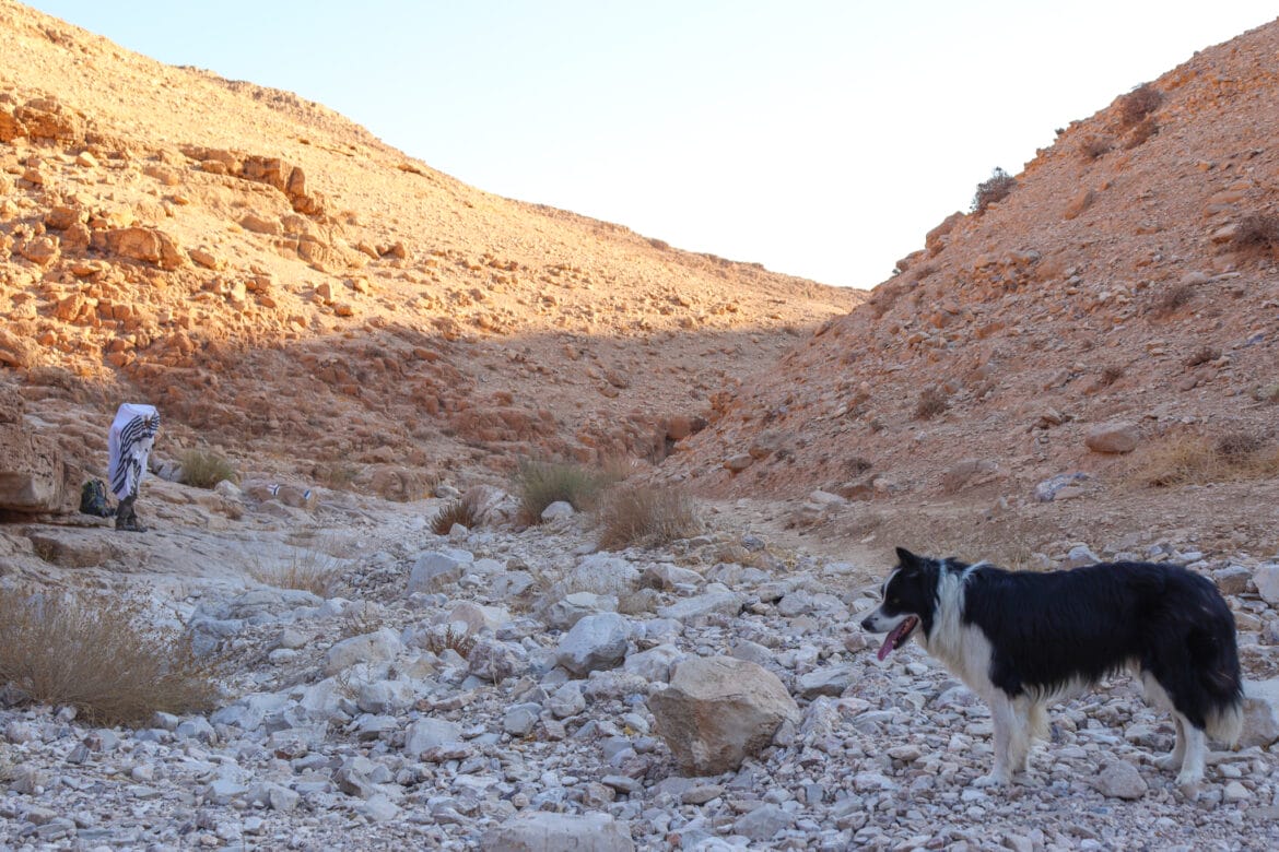 Upper Nahal Rahaf – Canyon Walk