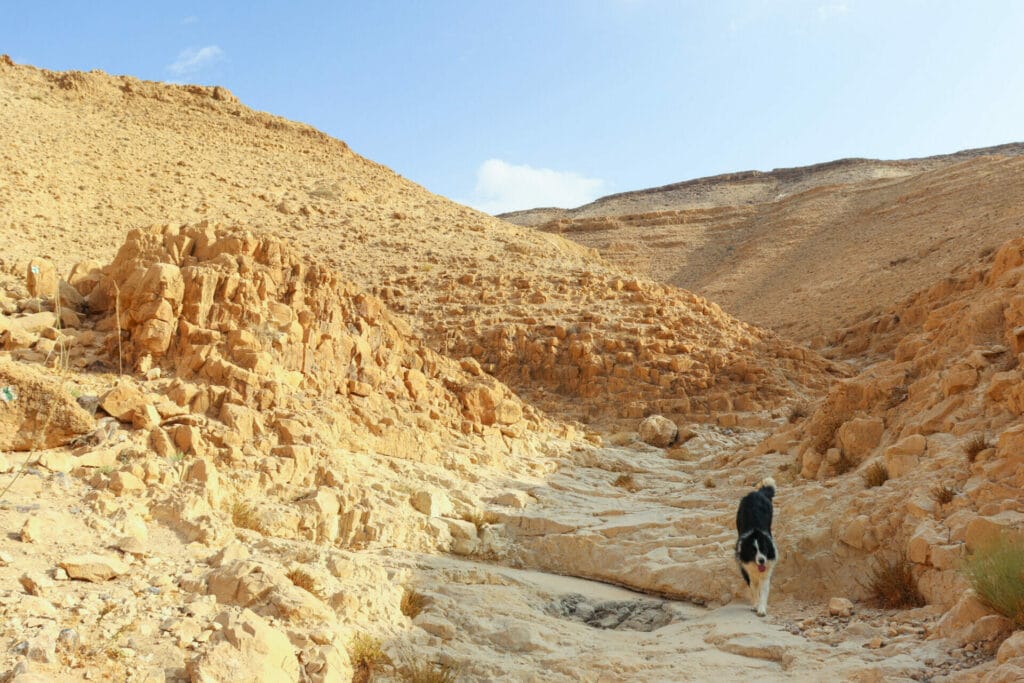 Nahal Kidod hike