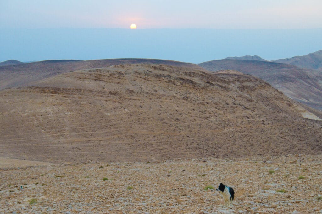 Nahal Kidod hike