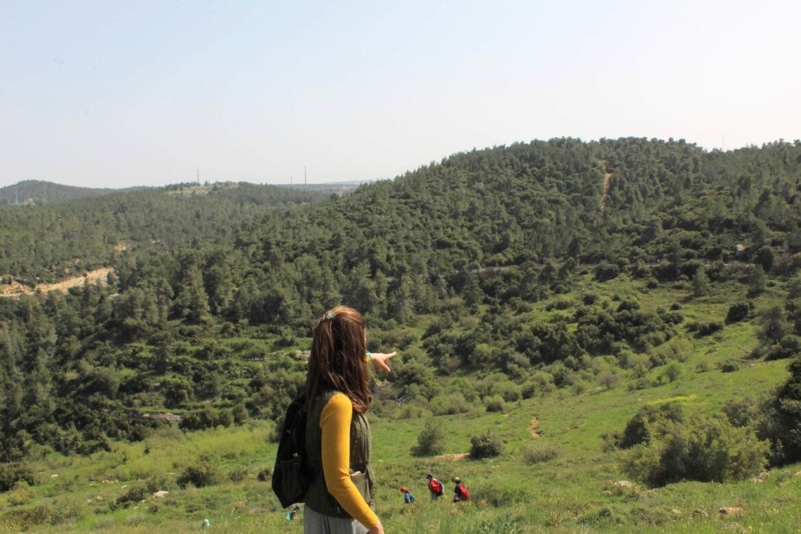 10 Jerusalem Hikes an Easy Bus Ride Away