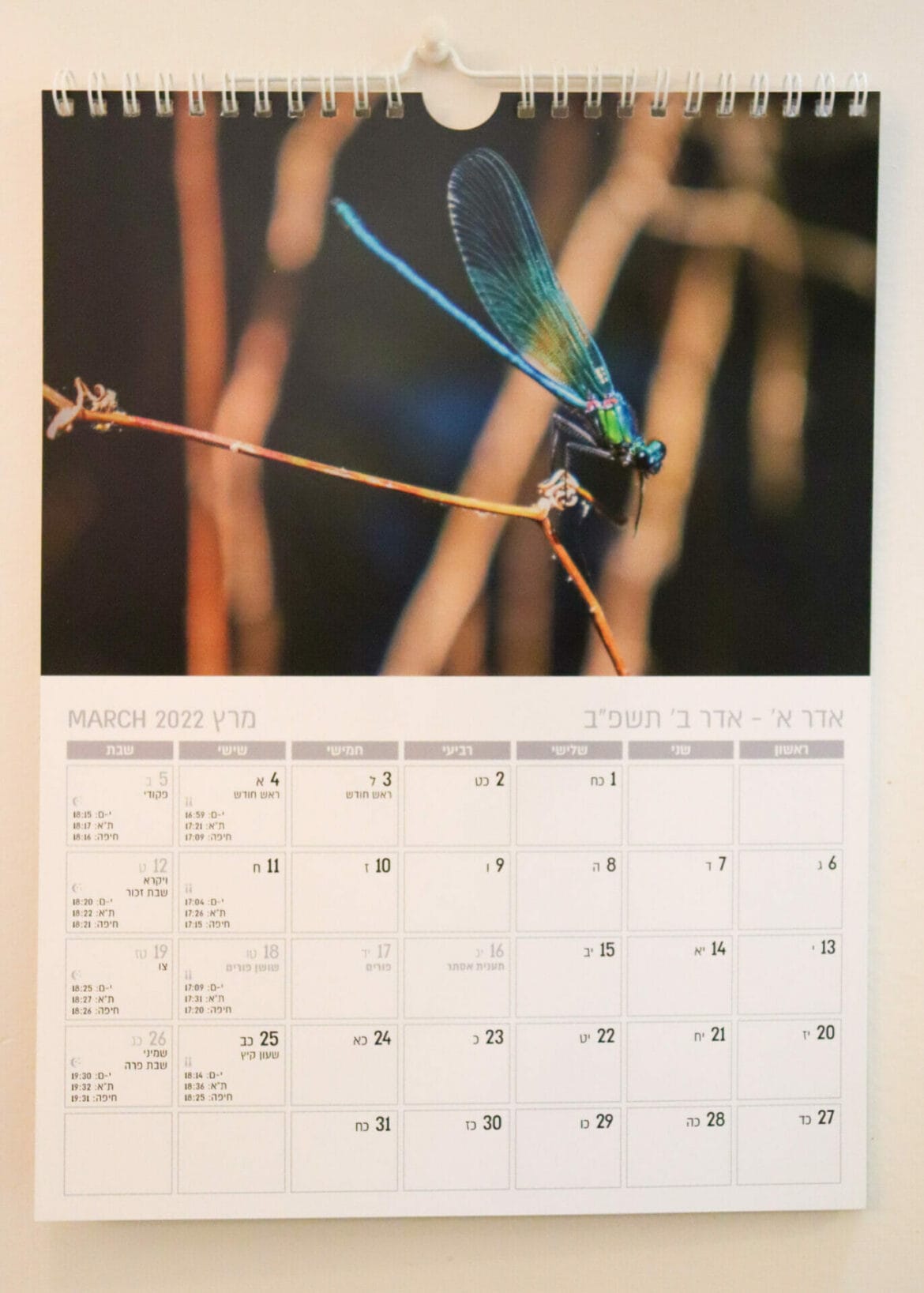 Hike of the Month Calendar