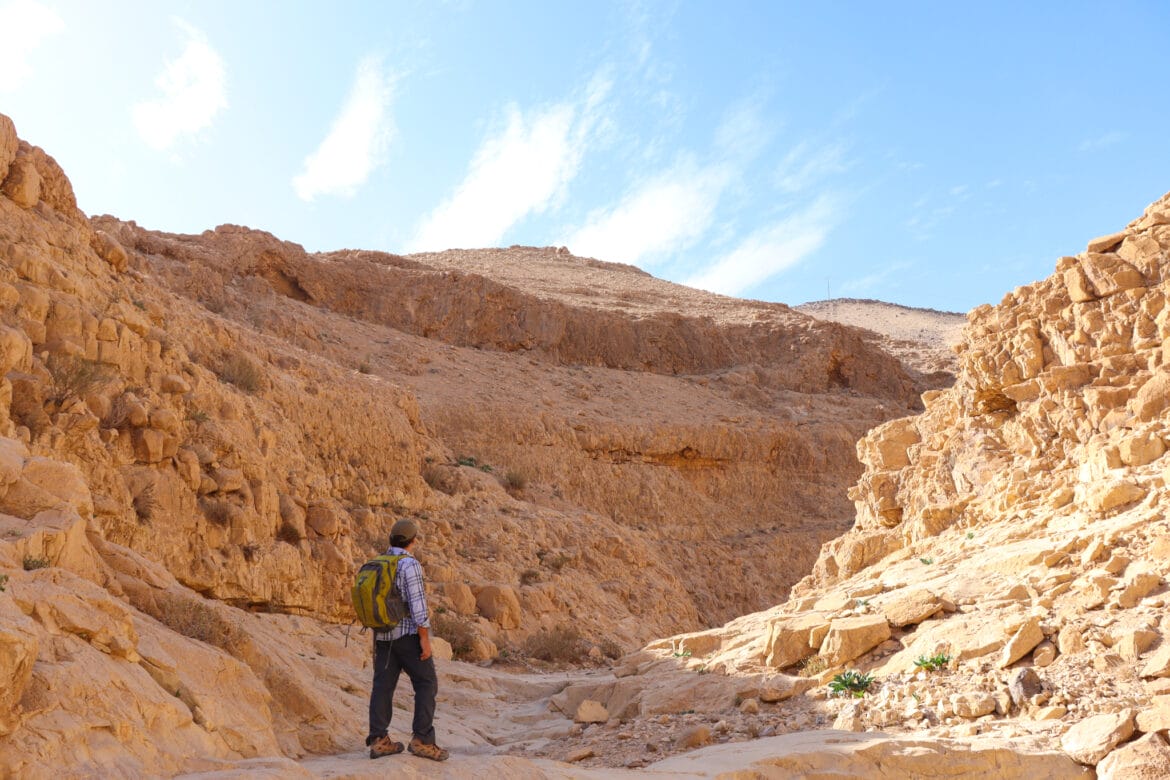Nahal Yaelim Desert Trek
