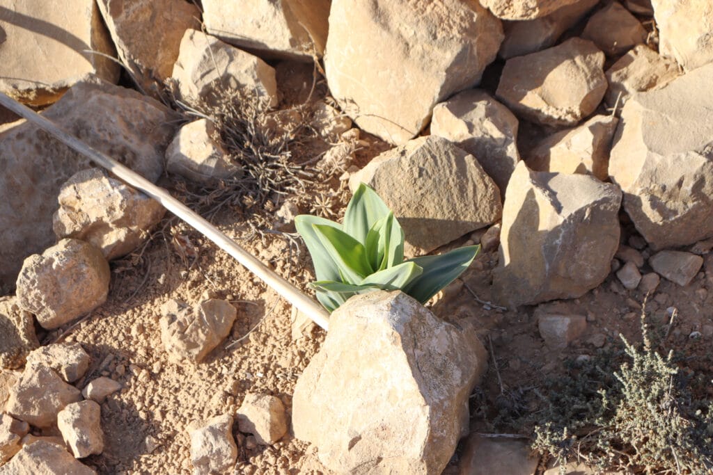 Nahal Yaelim hike