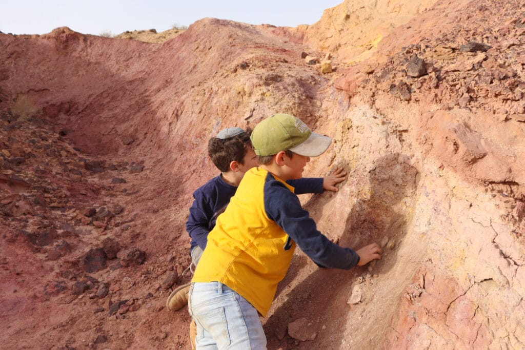 Small Fin at Great Crater