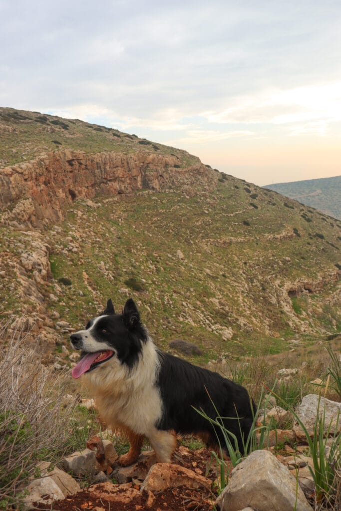 Gilboa mountain hike