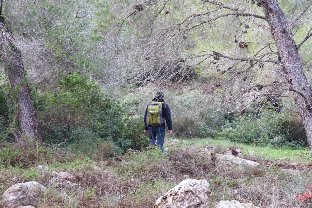 Gilboa mountain hike