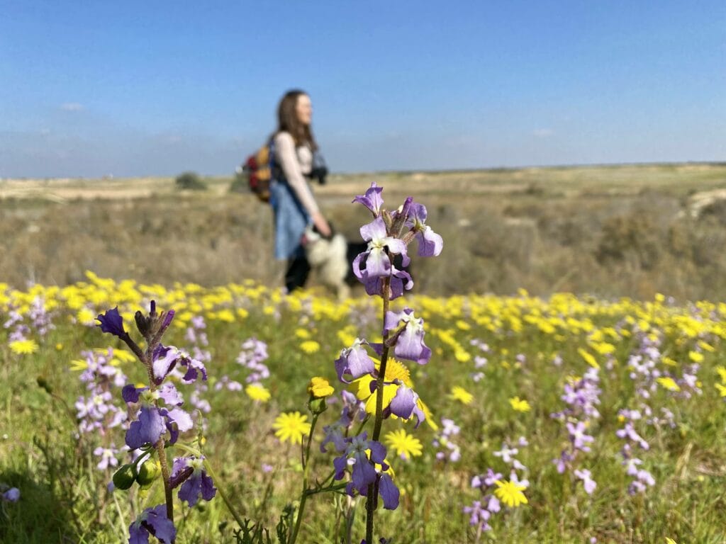 Nahal HaBesor hike