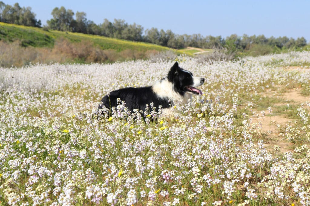 Nahal HaBesor hike