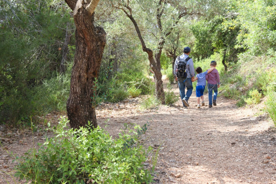 8 Strategies For Getting Your Kids to Love Hiking