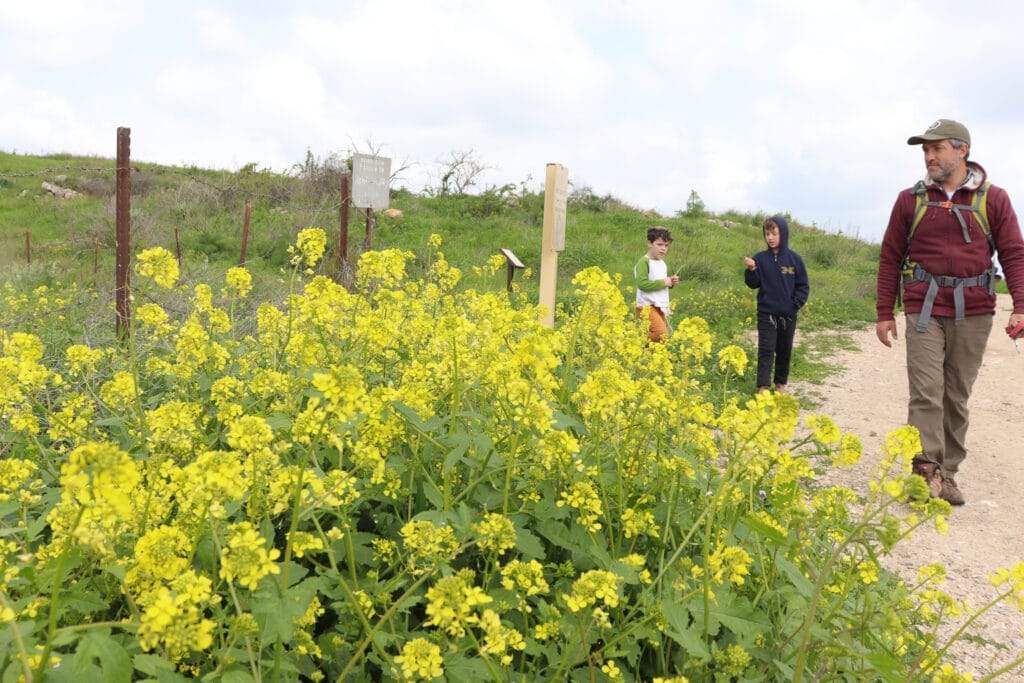 Tel Lachish hike