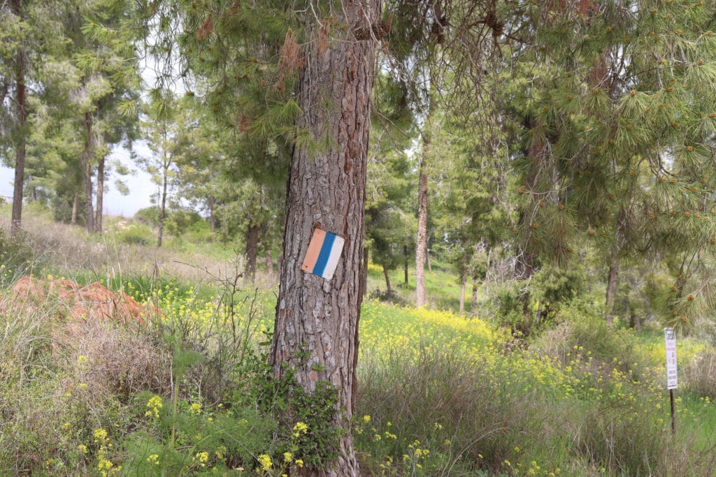 Tel Lachish hike